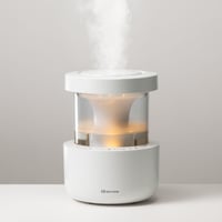 MIST 300