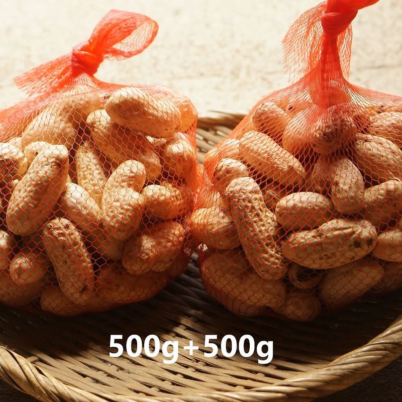 生落花生（茹で用落花生）オオマサリ1～4kg ※10月18日以降のお届けです