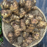 土付き生姜　（1kg、2kg、3kg、4kg、5kg）