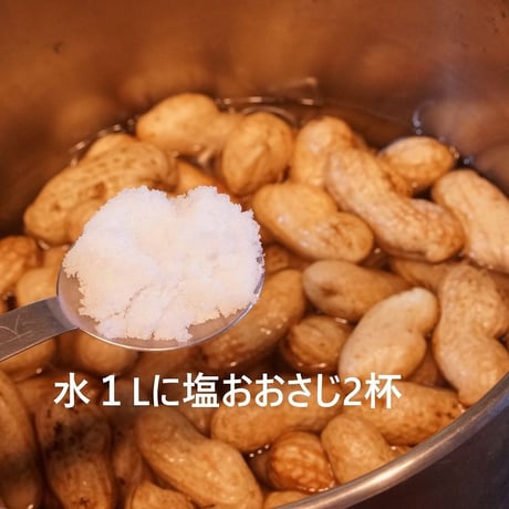 生落花生（茹で用落花生）オオマサリ1～4kg