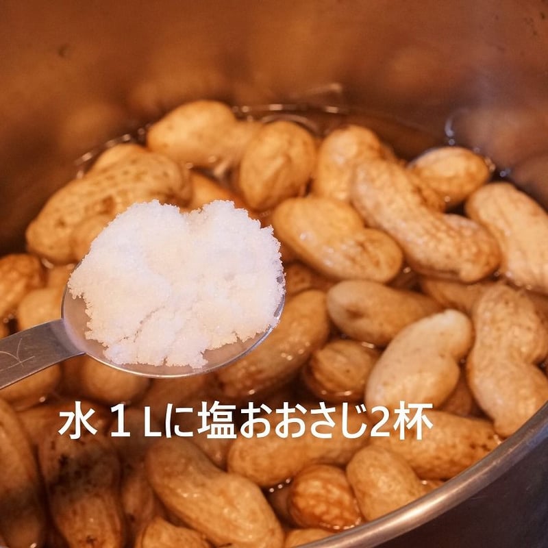 生落花生（茹で用落花生）オオマサリ1～4kg ※10月18日以降のお届けです