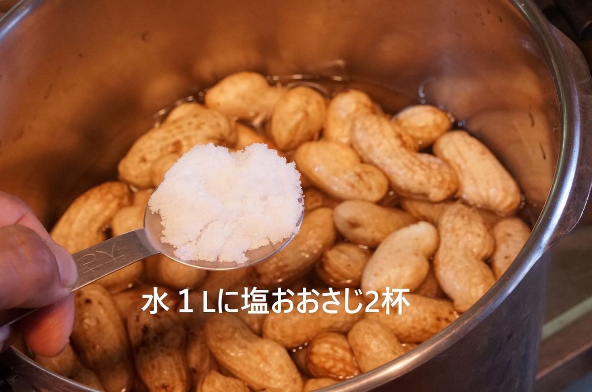 生落花生（茹で用落花生）オオマサリ1～4kg ※10月18日以降のお届けです