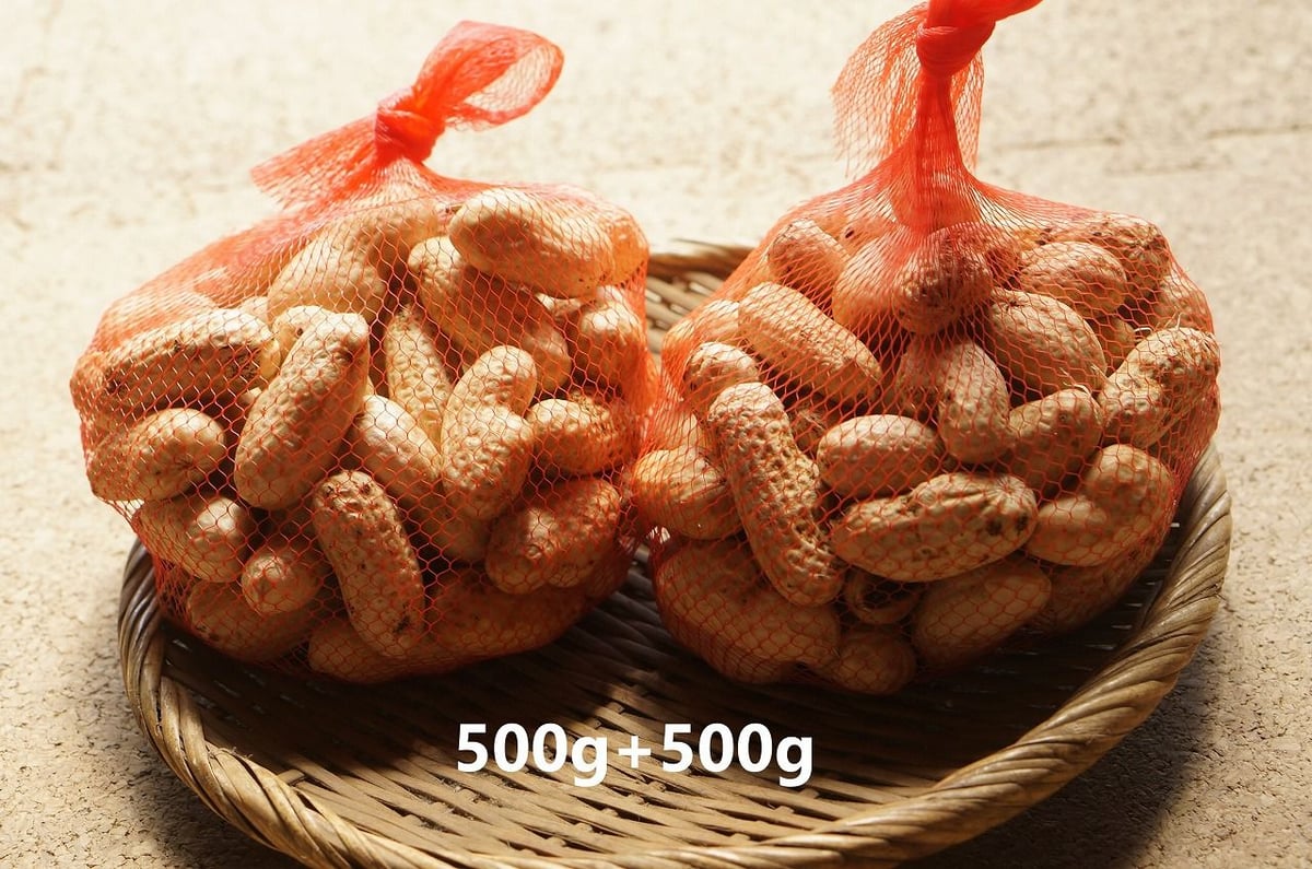 生落花生(茹で用落花生)オオマサリ 3kg ※9月28日以降のお届けです ...