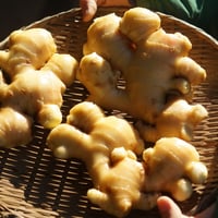 生姜　3kg入り（洗い）