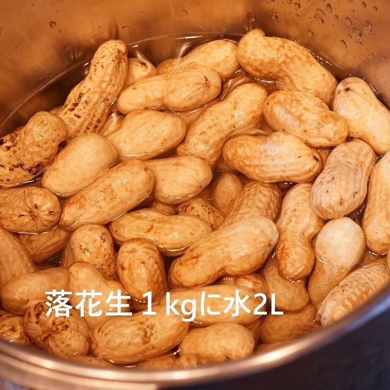 生落花生（茹で用落花生）オオマサリ1～4kg ※10月18日以降のお届けです