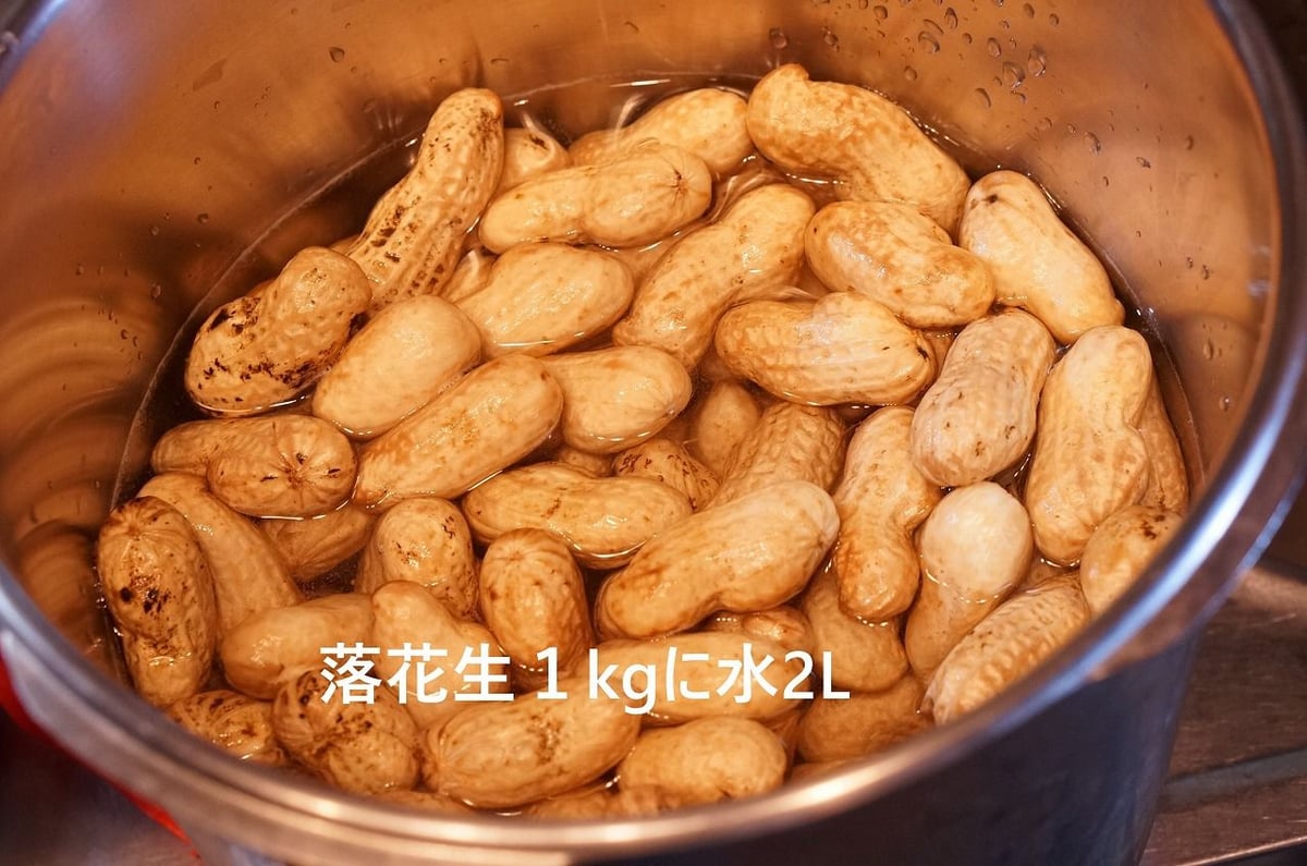 生落花生（茹で用落花生）オオマサリ1～4kg ※10月18日以降のお届けです