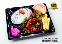 自家製デミグラスハンバーグ弁当