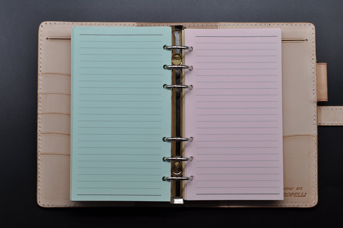 ☆送料無料☆システム手帳☆バイブル☆リング25mm☆栃木レザー