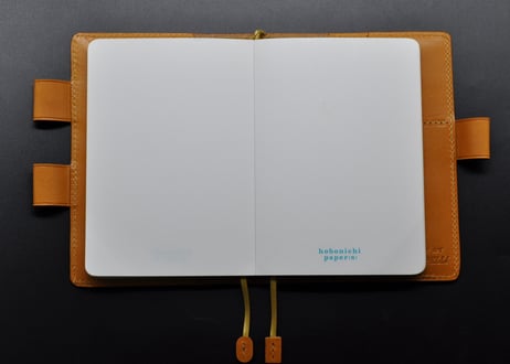 ★送料込み★ほぼ日手帳カバー★オリジナル（A6）サイズ★栃木レザー本ヌメ(キャメル)特A★