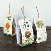 潮クッキーもりまっちゃ