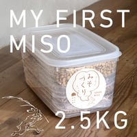 はじめてのみそづくりセット