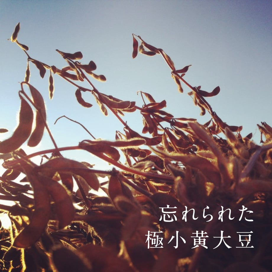 5f32267cd7e1d87a05002a3b