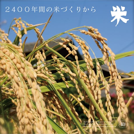 あわせ味噌