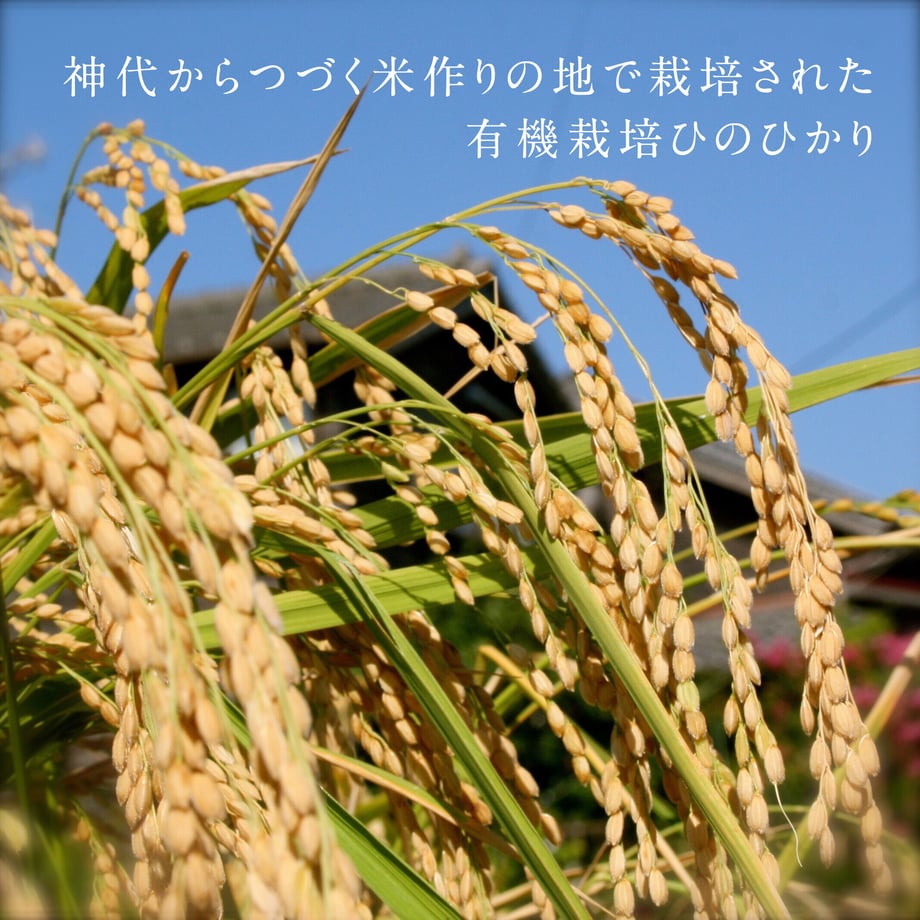 620f29ffe3bbd125208bc0fa