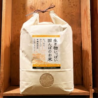 生き物いっぱい田んぼのお米5kg