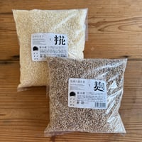 麦麹・米糀（生）
