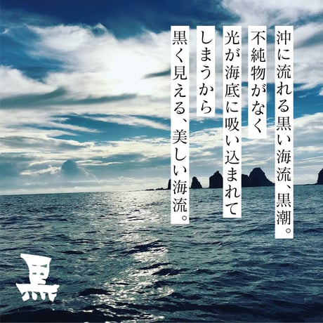 沖の黒潮から産まれた調味料セット