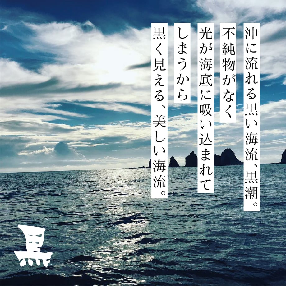 6396ee9b8d26fa158f5a4cf5