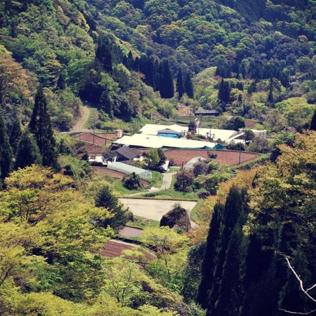 ごはん豆