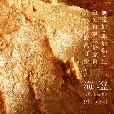 麦みそ