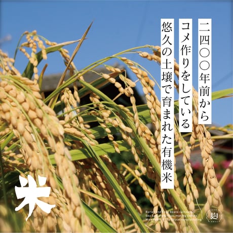 沖の黒潮から産まれた調味料セット