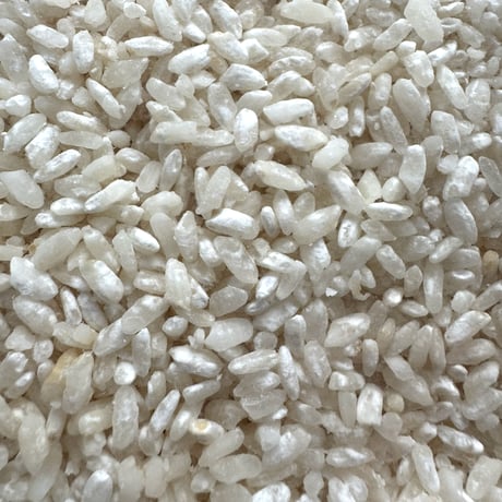 麦麹・米糀（生）