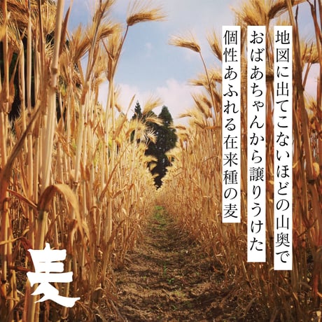 沖の黒潮から産まれた調味料セット