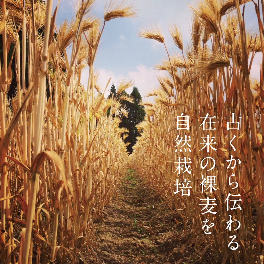 6370a083211ac37c27c966cf