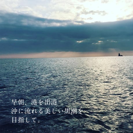 旨味たっぷり！ひよ糀