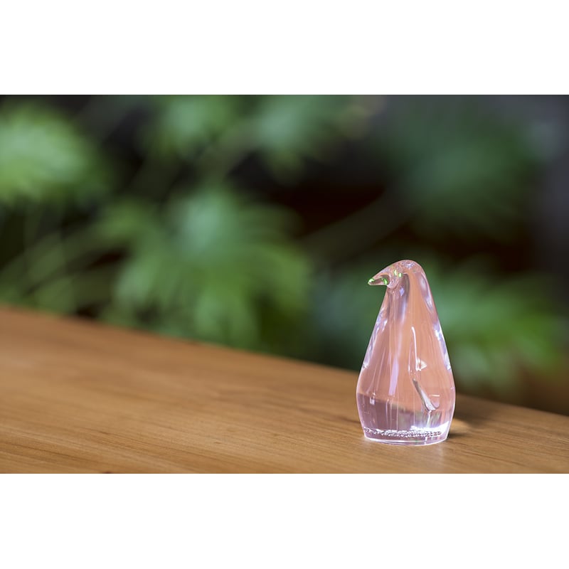 ペンギン Amazon.co.jp: ジェンツーペンギン ビニールモデル (FM-309