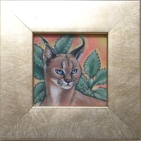 木野鳥乎「カラカルとカランコエ ‘ファング’ (多肉植物) 」