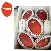 宮古島アップルマンゴー　ご贈答用　2㎏　3～5個