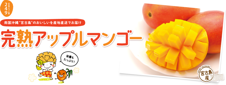 mango249