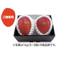 宮古島アップルマンゴー　ご贈答用　1㎏　2～3個