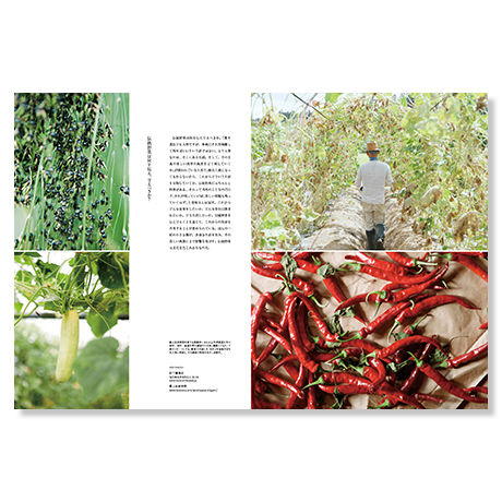 【PDF版】NORAH Season6 : Autumn 2016