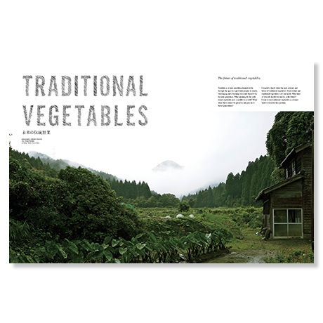 【PDF版】NORAH Season6 : Autumn 2016