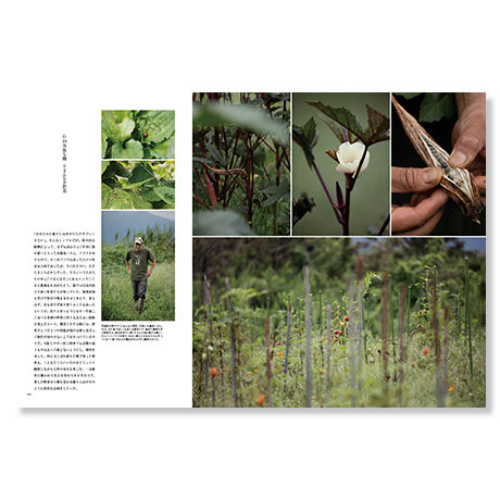 【PDF版】NORAH Season6 : Autumn 2016