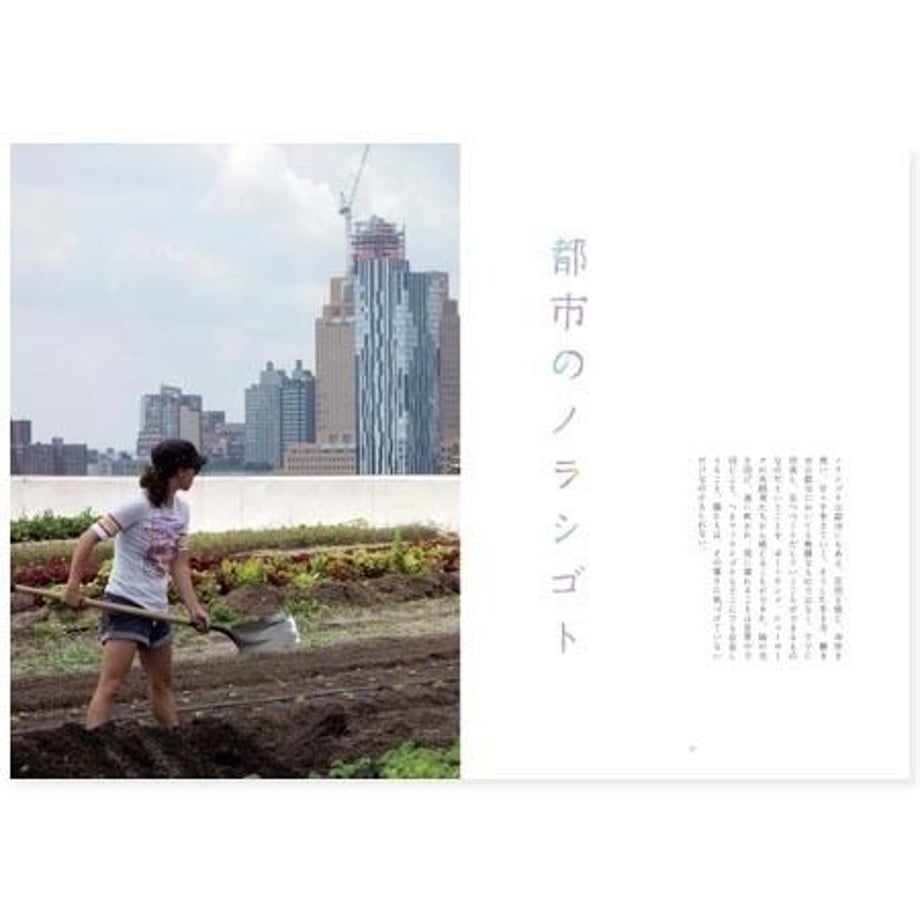5229cb3aa95dcbf136000062