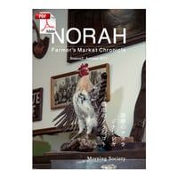 【PDF版】NORAH Season2: Autumn 2013