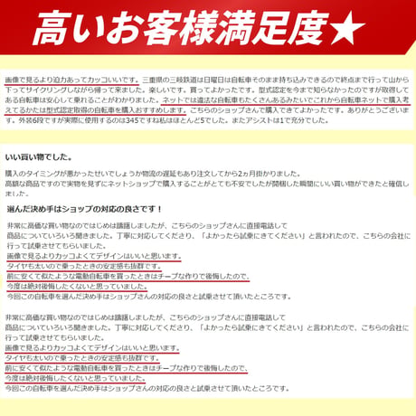 【正規販売店】★ ファットバイク 電動アシスト自転車  FAT-01（型式認定取得モデル）