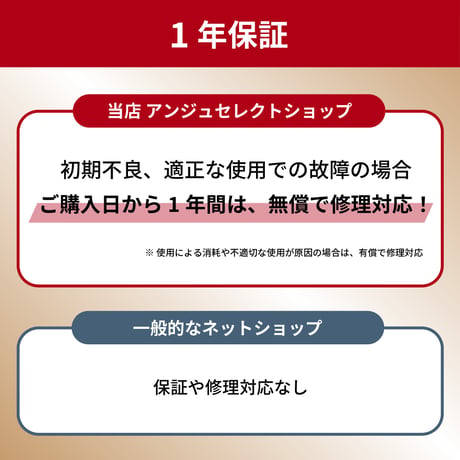 【正規販売店】★ ファットバイク 電動アシスト自転車  FAT-01（型式認定取得モデル）
