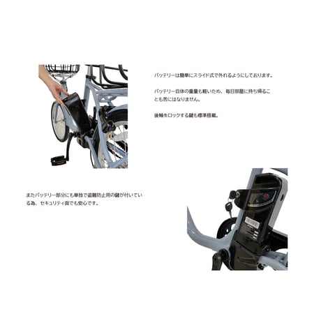 PORTER-MAX 型式認定取得 正規販売店 買い物かごが入る電動アシスト自転車 20インチ 前かご後かご バスケット e-bike ミニベロ ペットポーターマックス 爆買