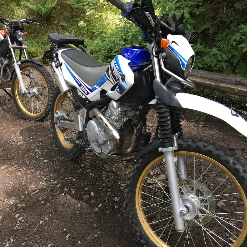 セロー225 タイヤホイール前後