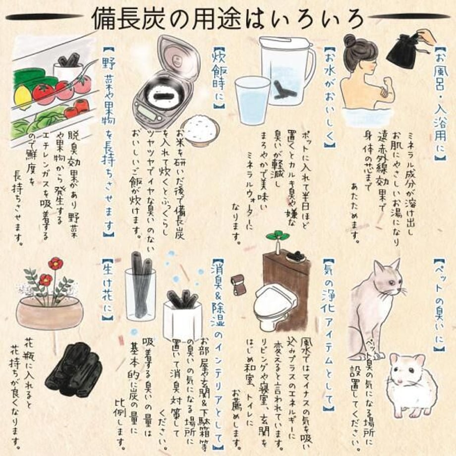 5b9b6230a6e6ee15d800034d