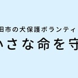 小さな命を守る会（東京・町田市の犬保護ボランティアグループ）チャリティーショップ