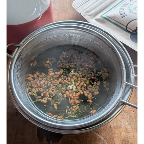 べにふうき玄米緑茶