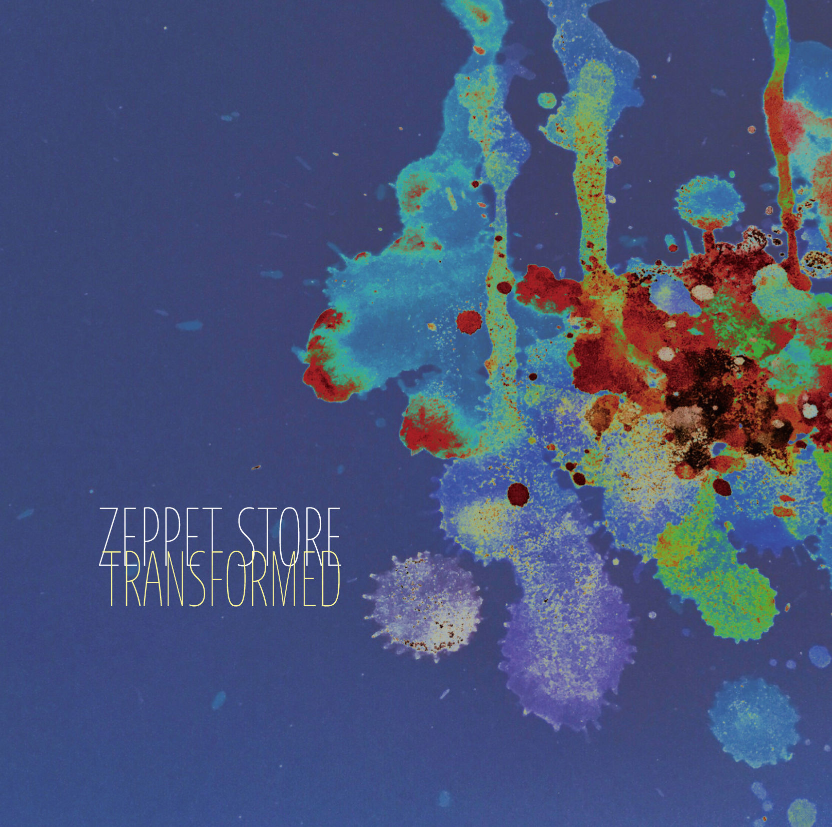 ZEPPET STORE / TRANSFORMED | art-box