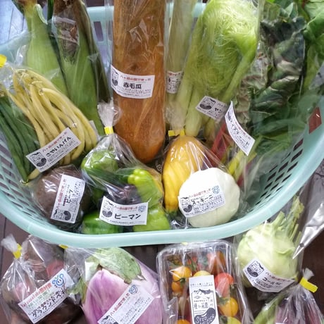 季節の変わり野菜セット（M）4,500円（送料・税込）