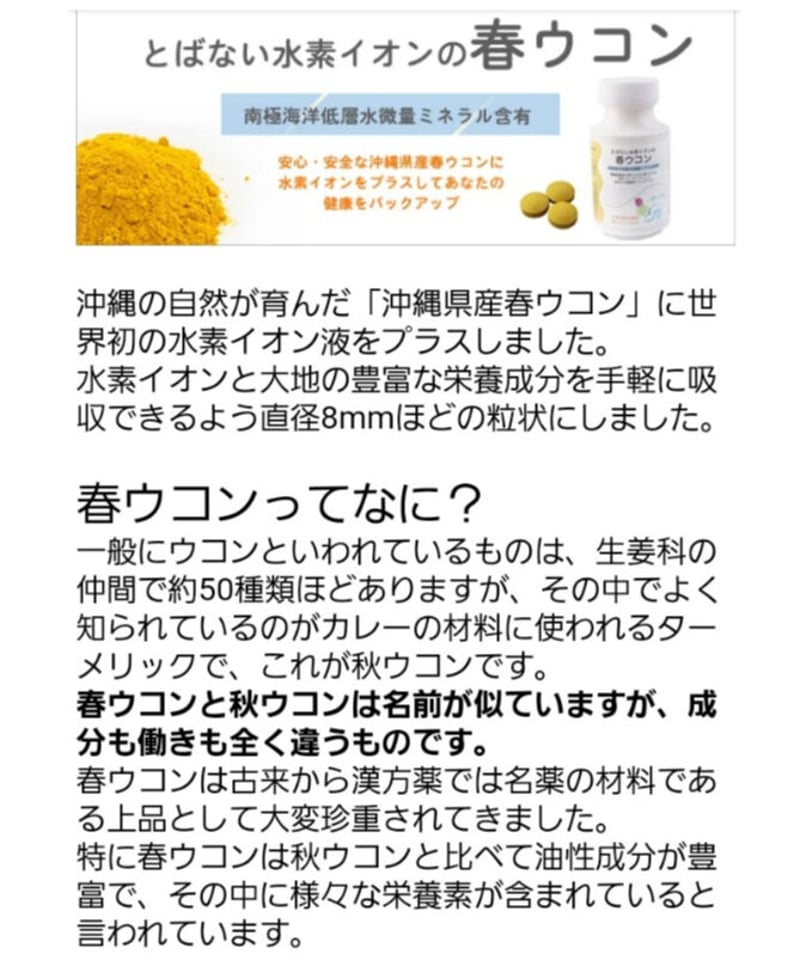 とばない水素イオンの「春ウコン」 《送料税込》 | 種to菜園 とばない水素イオンの「春ウコン」 《送料税込》 | 種to菜園