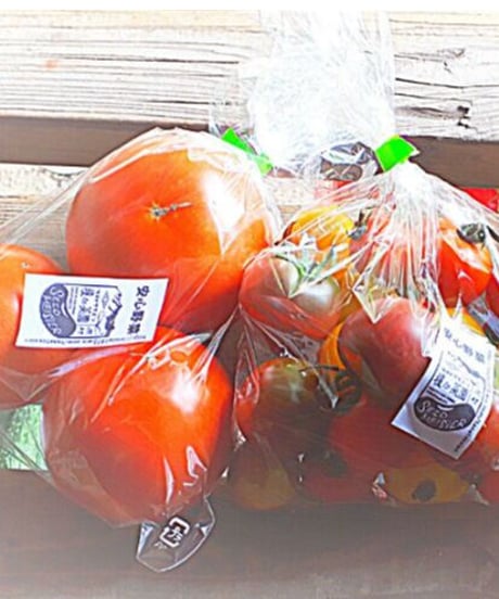 種to菜園《SEED MEISTERの野菜達》